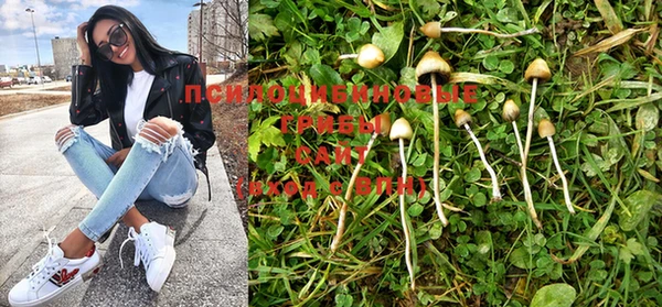 MESCALINE Михайловка