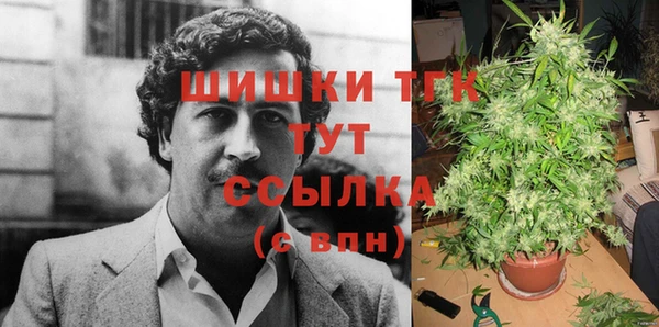 эйфоретик Михайлов