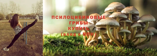 прущая мука Надым